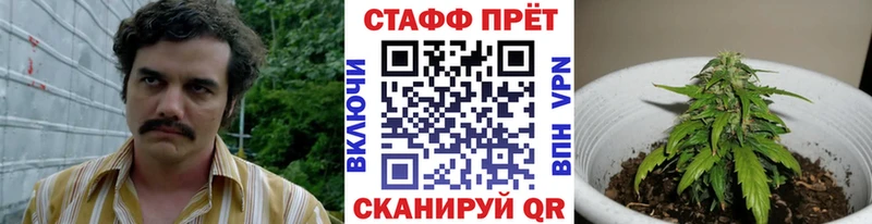 Продажа наркотиков Козьмодемьянск КОКАИН  КЕТАМИН  ГАШИШ  Бошки Шишки  Меф 