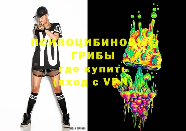 мдпв Арсеньев
