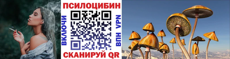 Галлюциногенные грибы MAGIC MUSHROOMS  blacksprut как зайти  Козьмодемьянск 